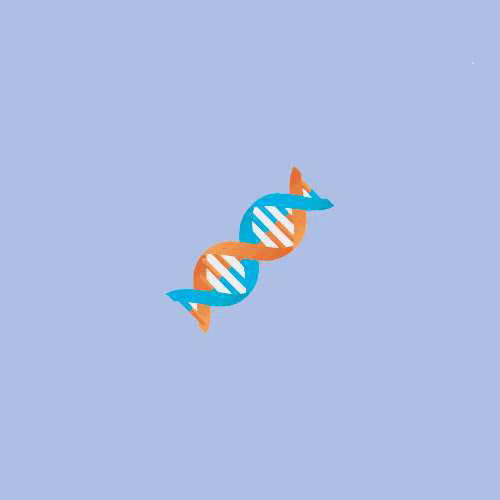 DNA Model