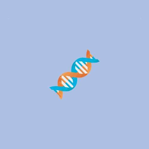 Educational DNA double helix model