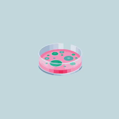 Cell Model