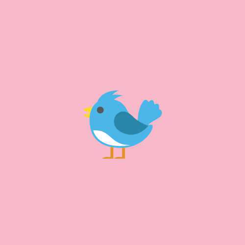 Birdhouse Kit